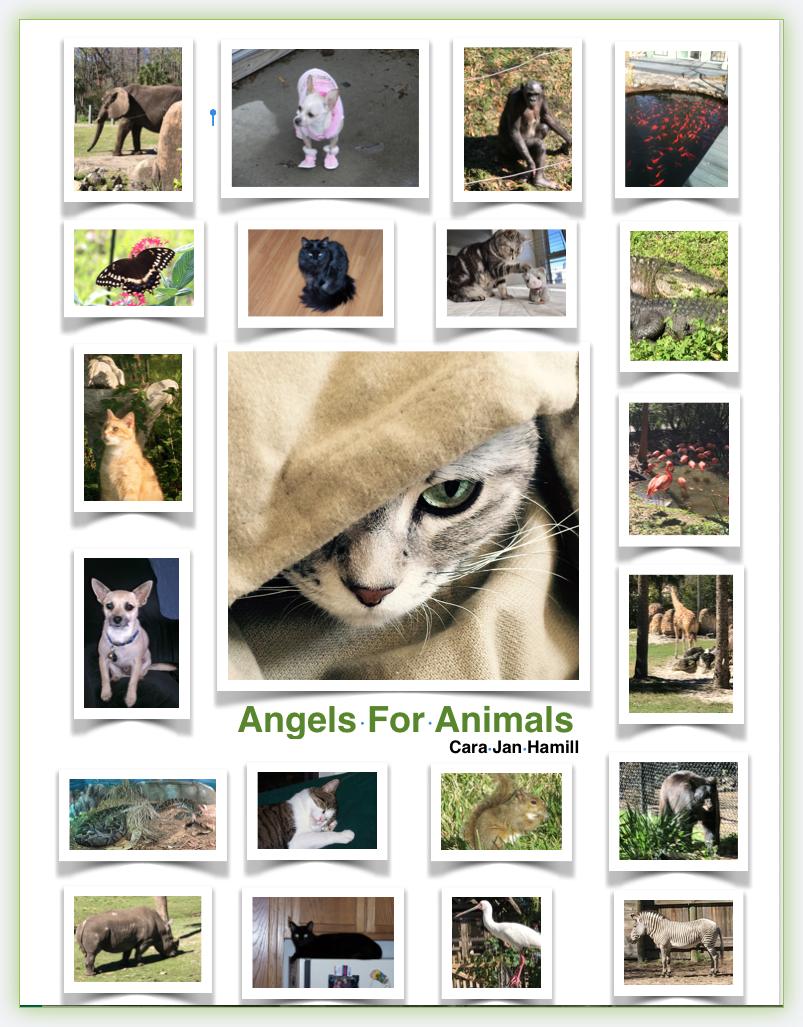 Angels For Animals Bookcover